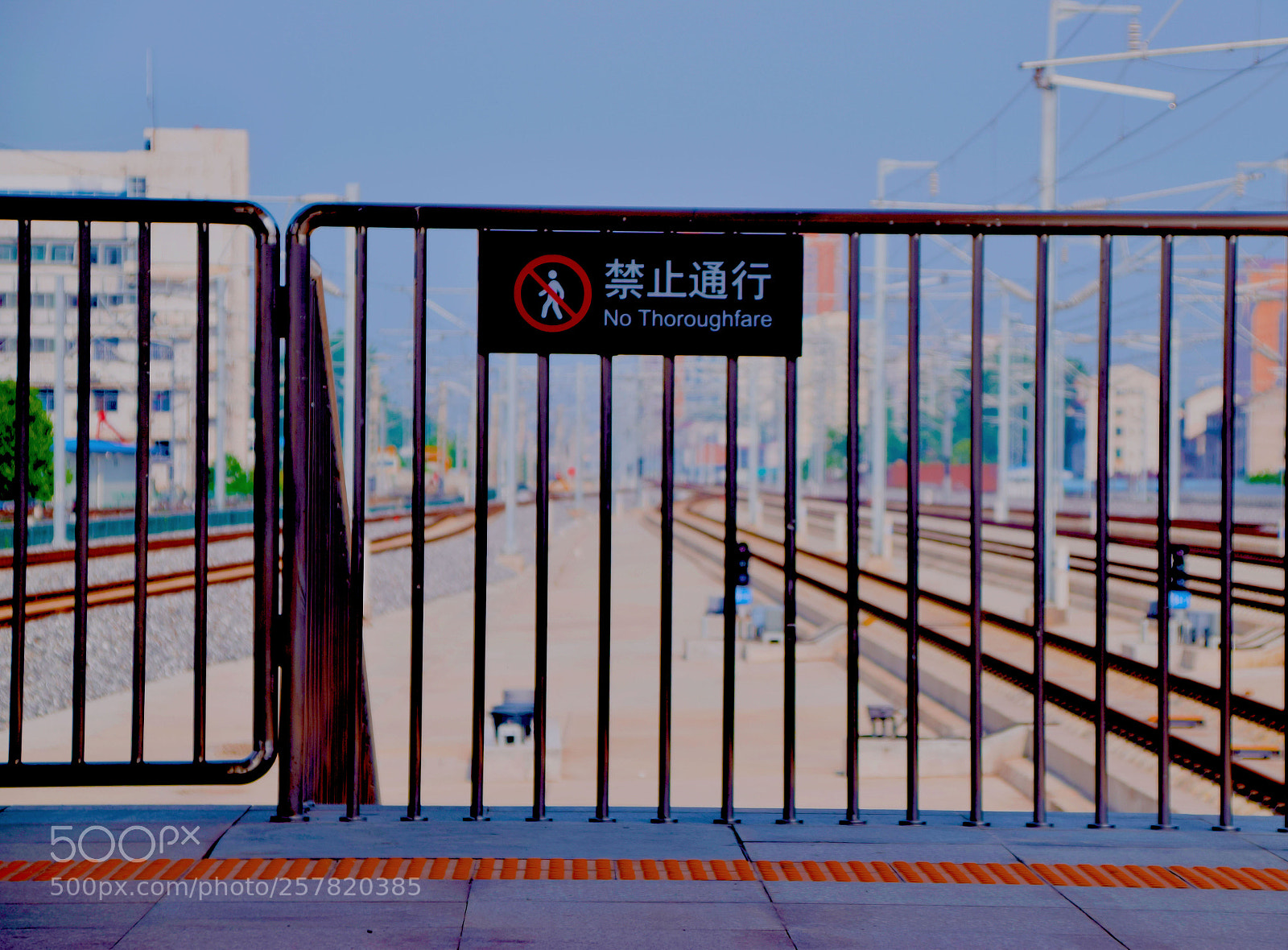 Nikon D5300 sample photo. Untitled photography