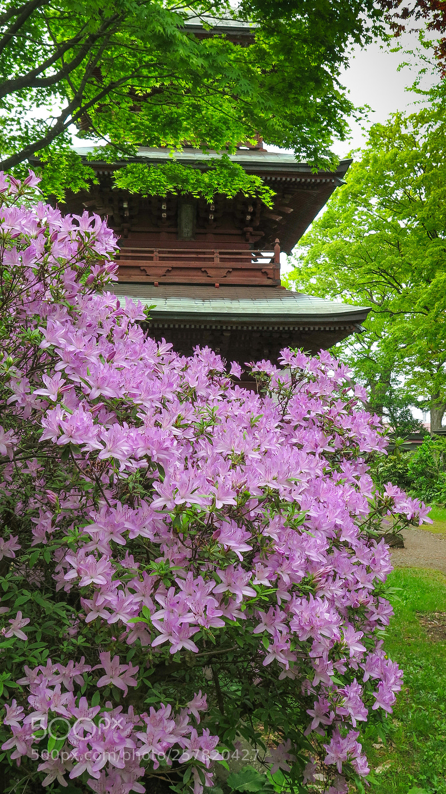 Canon PowerShot G16 sample photo. Hiehachiman pagoda photography
