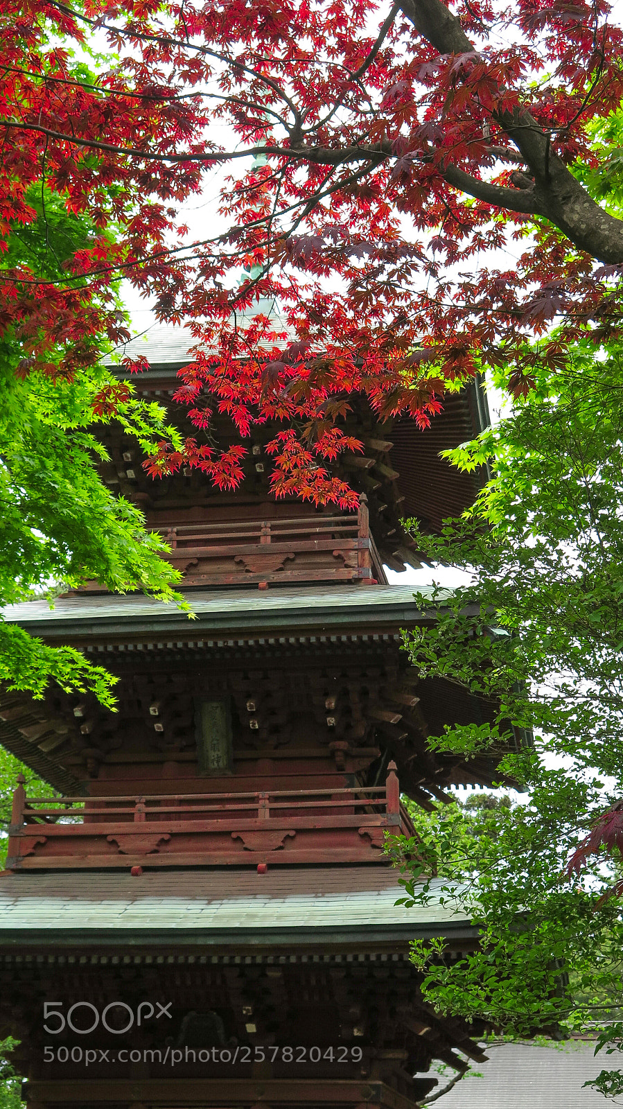Canon PowerShot G16 sample photo. Hiehachiman pagoda photography