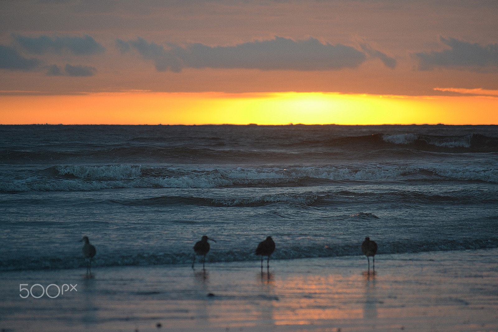 Nikon D3100 sample photo. Another sunset photography