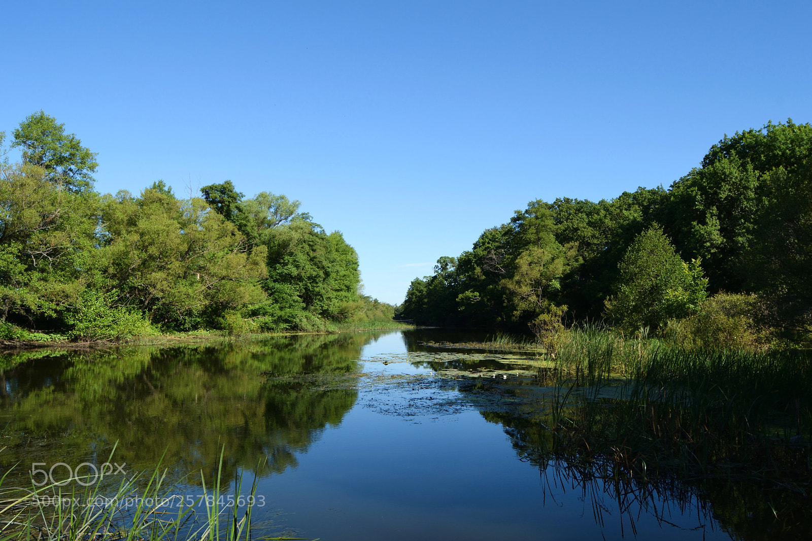 Nikon D3300 sample photo. Blue reflection photography