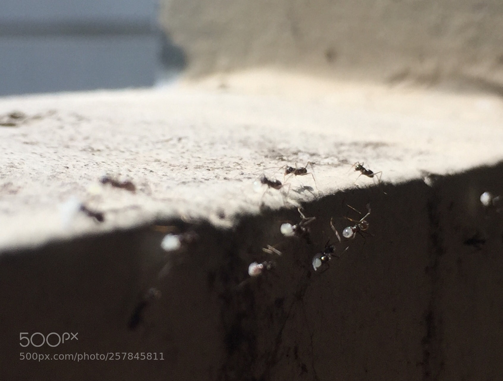 Apple iPhone 6 sample photo. Pilgrimage  photography