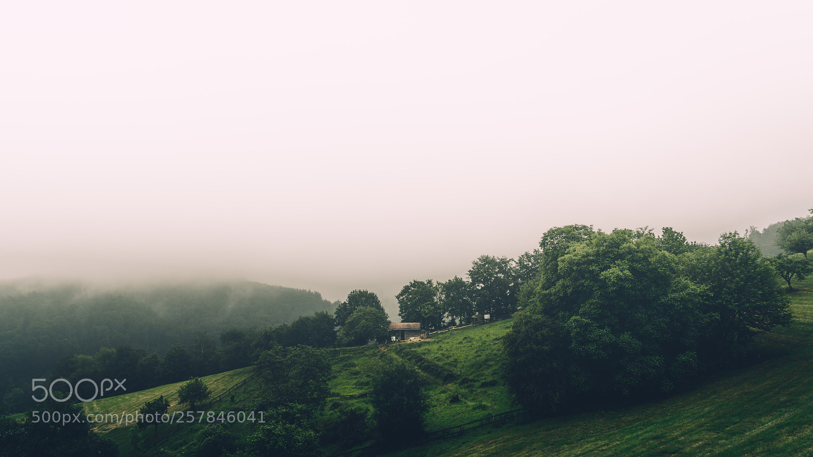 Sony a7R II sample photo. Small resident photography