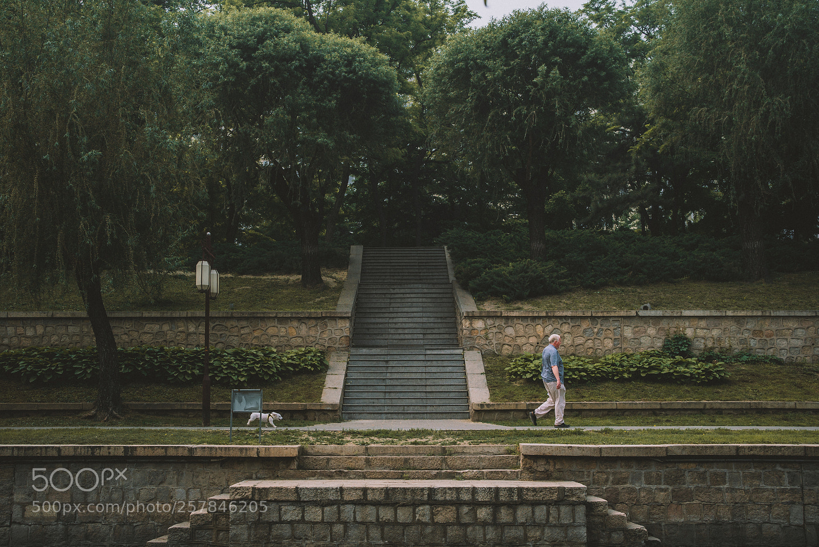 Sony a7S sample photo. Follow photography