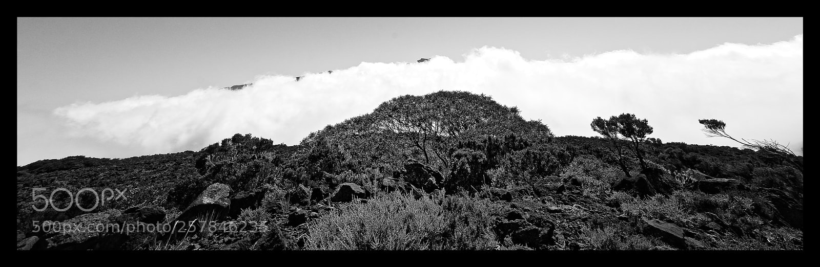 Nikon D7000 sample photo. Route du volcan photography