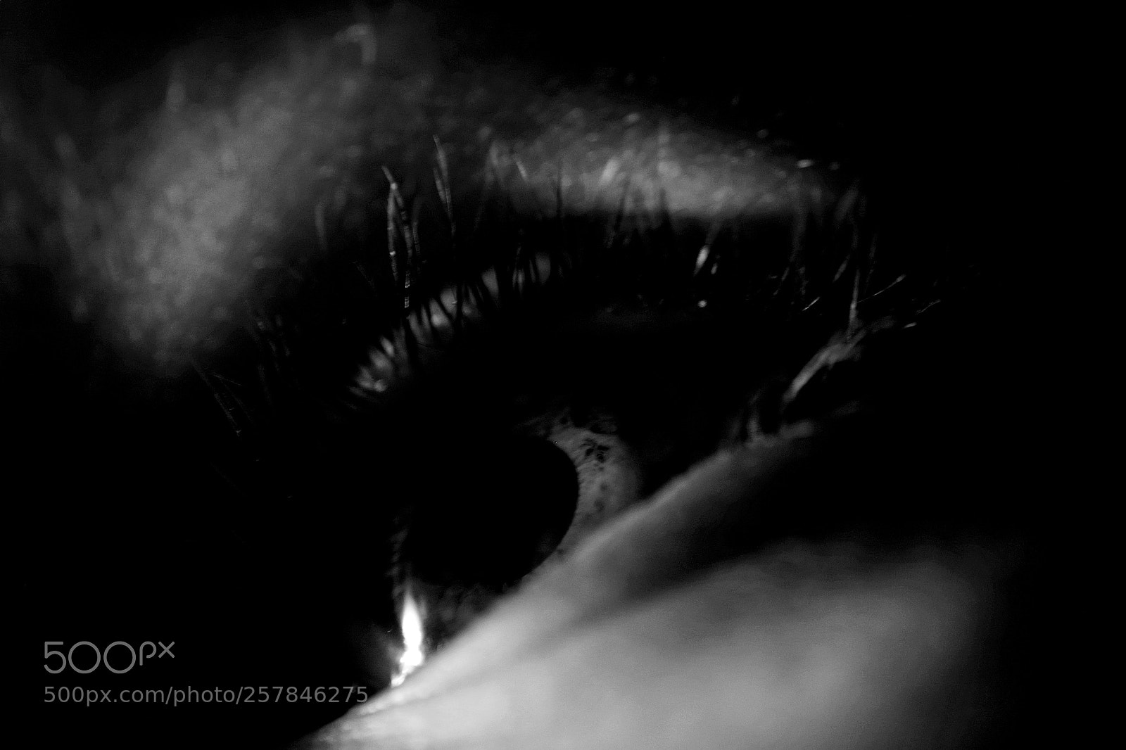 Pentax K-S2 sample photo. Eye photography