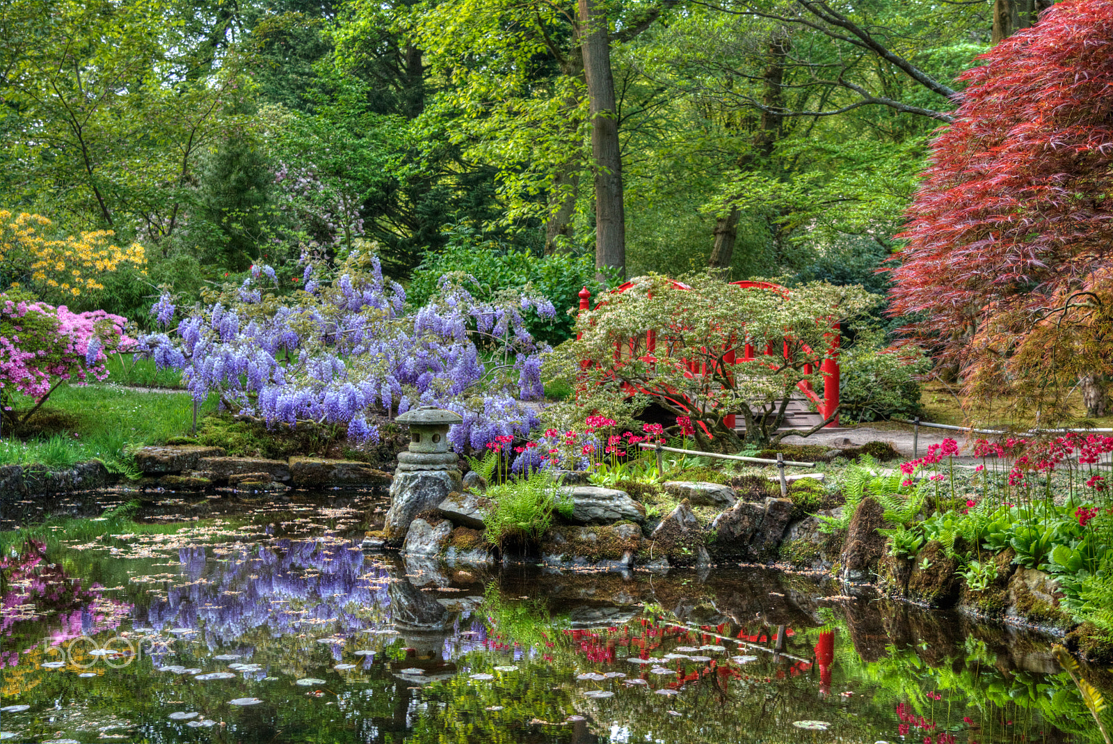 Canon EOS 70D + Canon EF-S 17-85mm F4-5.6 IS USM sample photo. Japanese garden photography