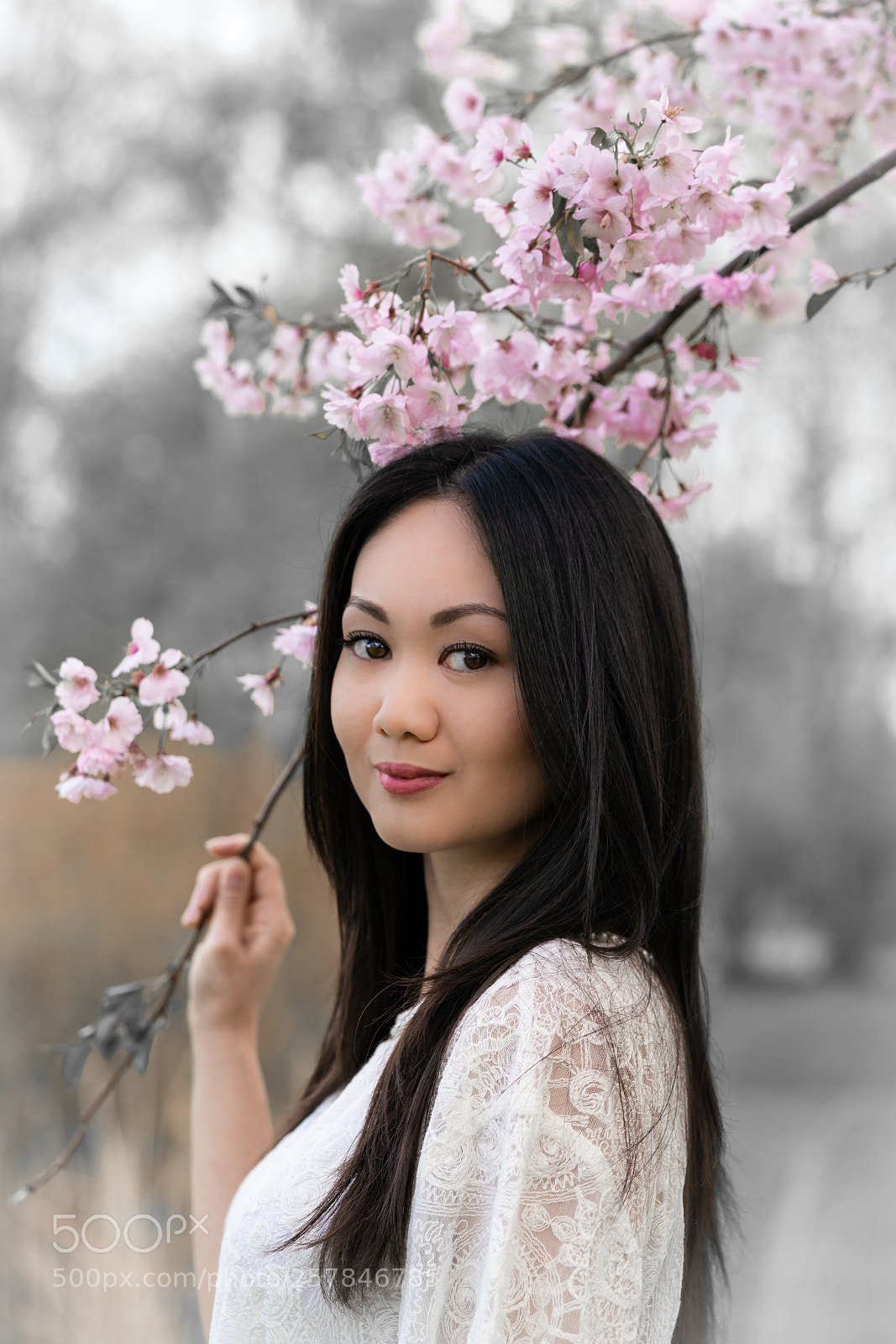 Sony a7R II sample photo. Sakura blossom photography