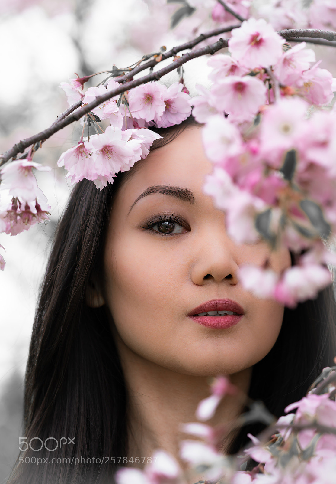 Sony a7R II sample photo. Sakura blossom photography