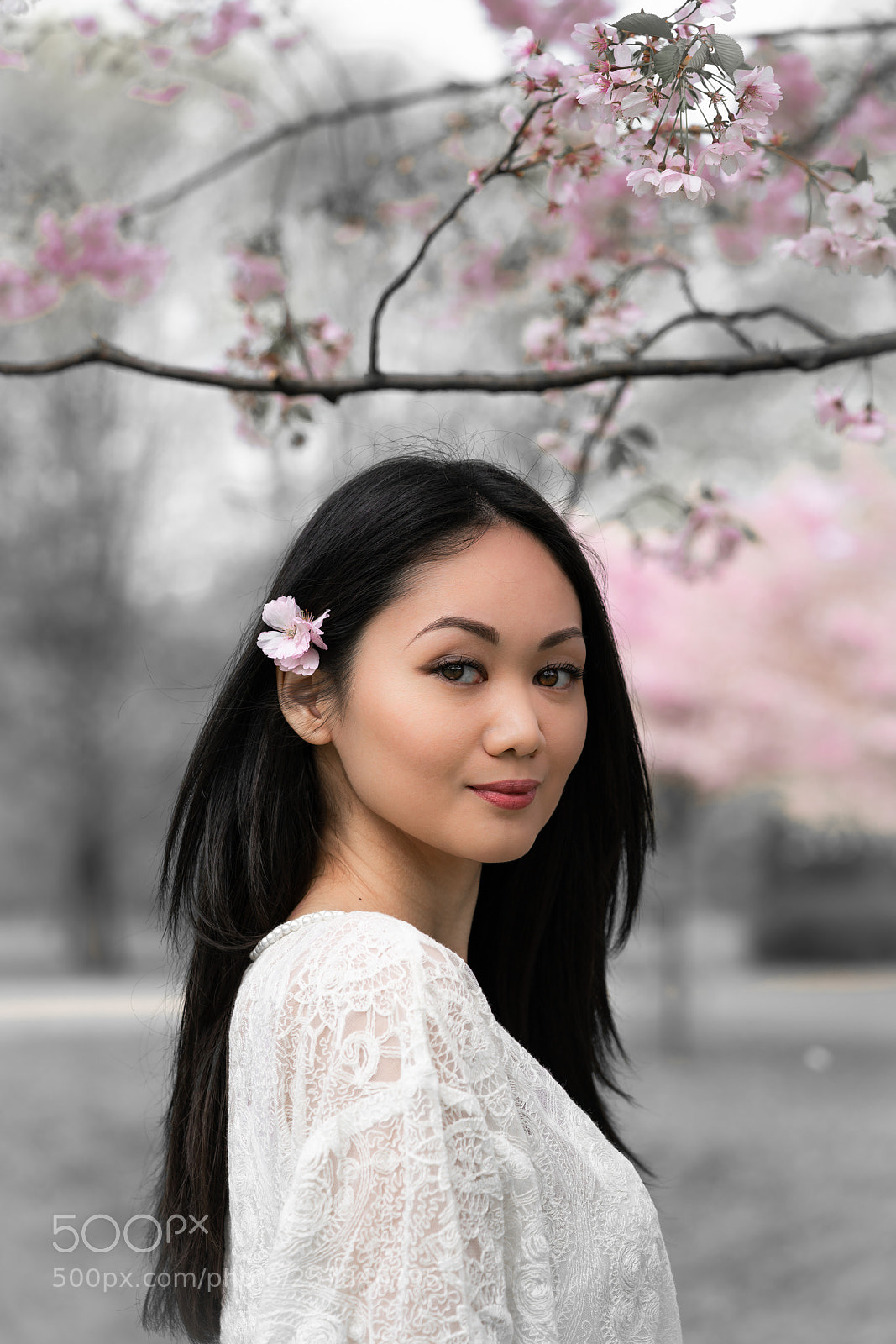 Sony a7R II sample photo. Sakura blossom photography