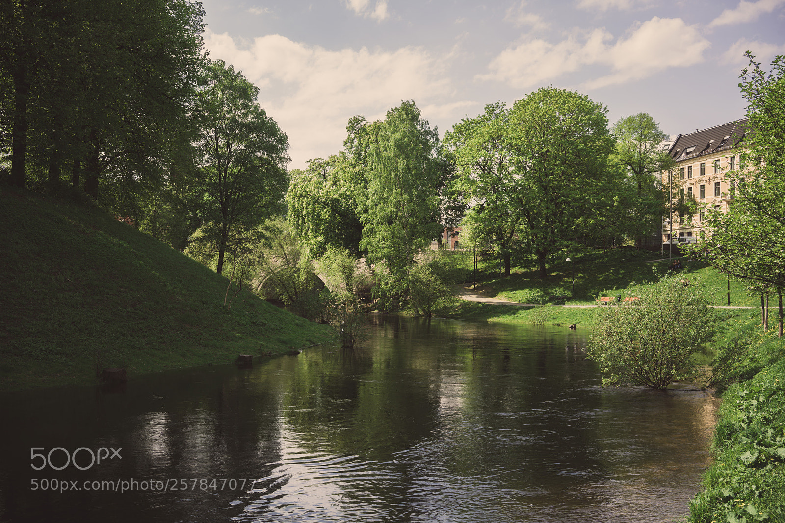 Sony a7R III sample photo. Overflowing river photography