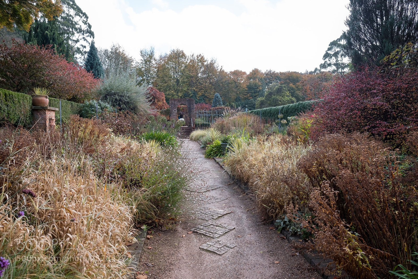 Fujifilm X-T2 sample photo. Autumn at cloudhill photography