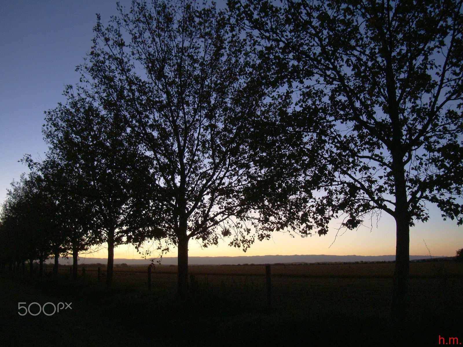 Sony Cyber-shot DSC-W300 sample photo. Atardecer en el campo photography