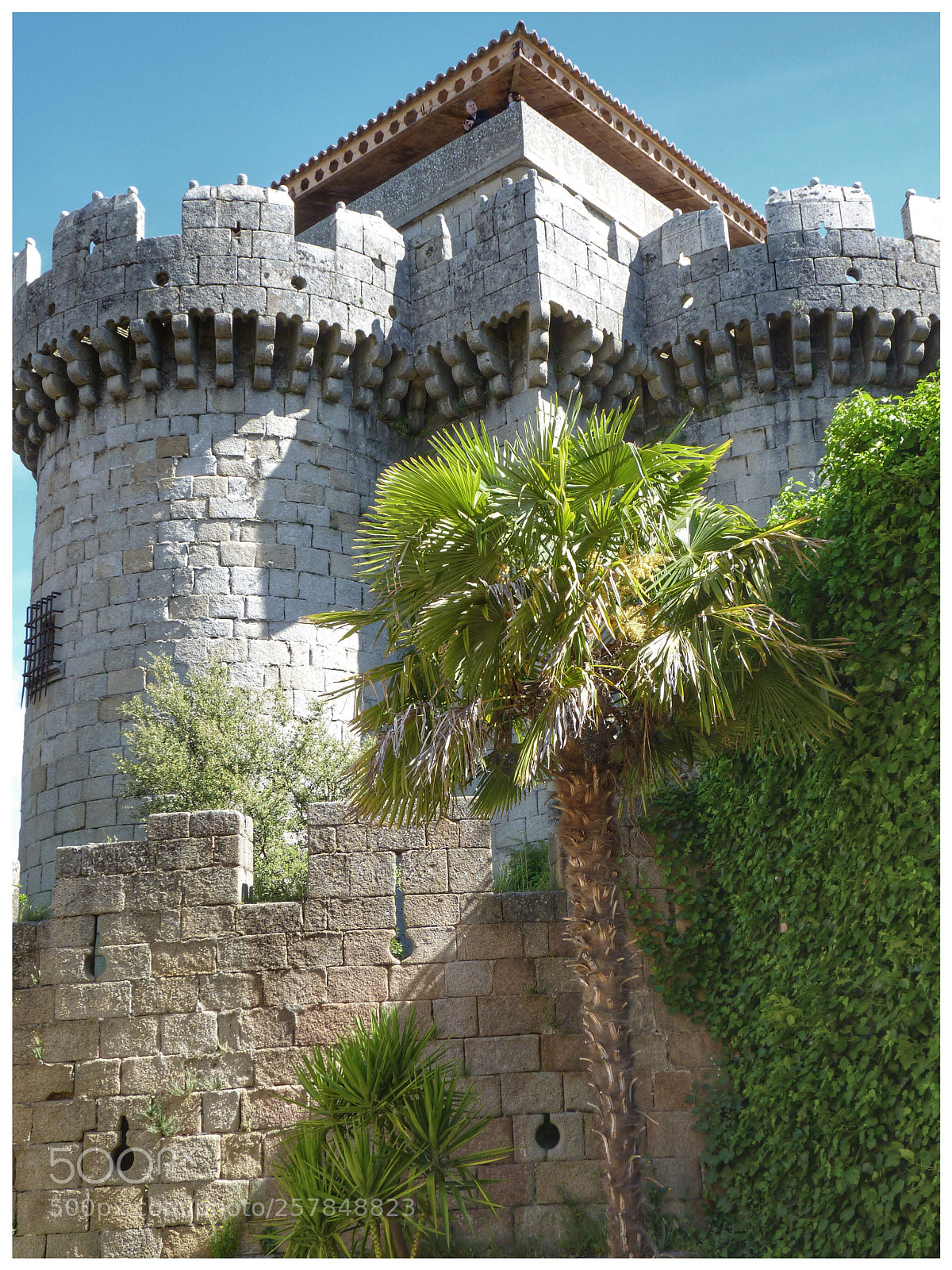 Panasonic Lumix DMC-FZ35 (Lumix DMC-FZ38) sample photo. Granadilla castle  photography