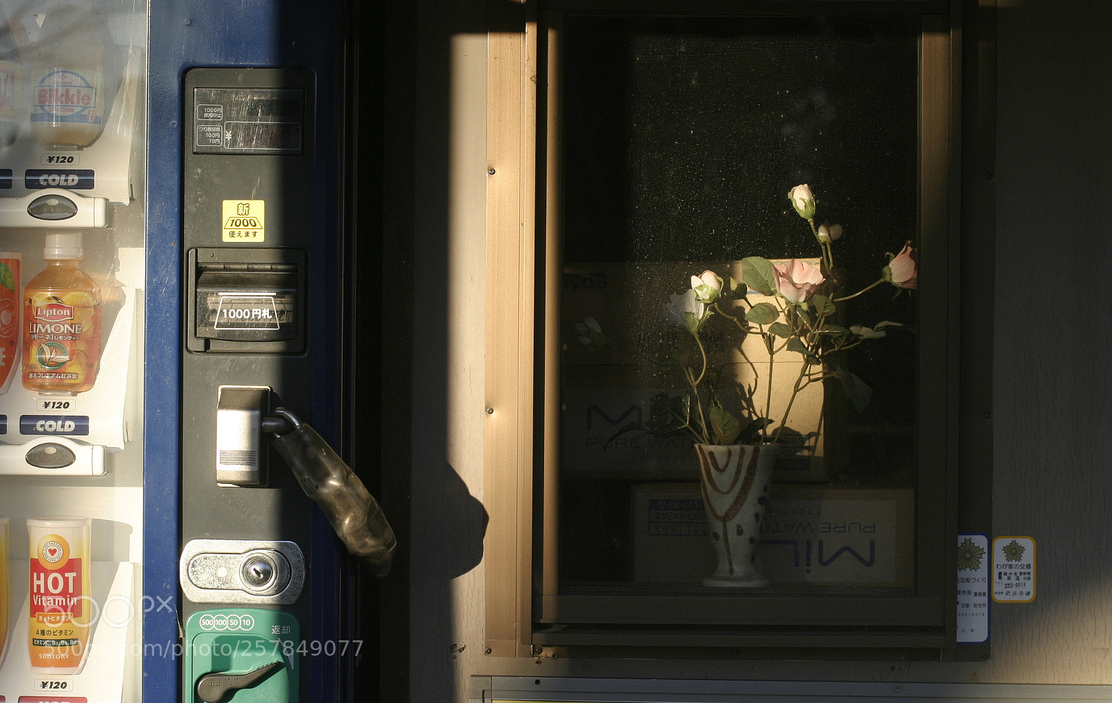 Canon EOS 10D sample photo. The window on which photography