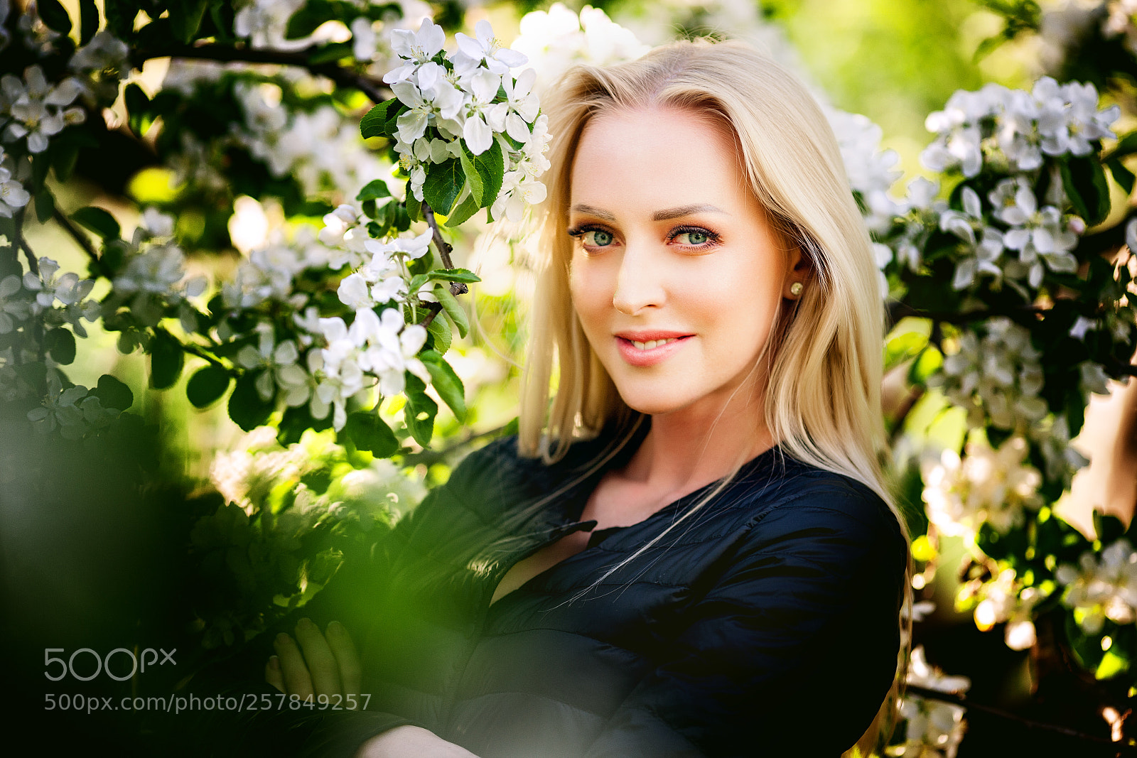 Canon EOS-1Ds Mark III sample photo. Imgl photography