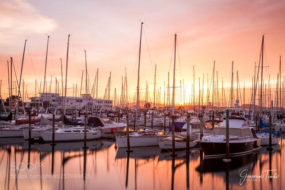 Canon EOS 5D Mark II sample photo. Forest of masts photography