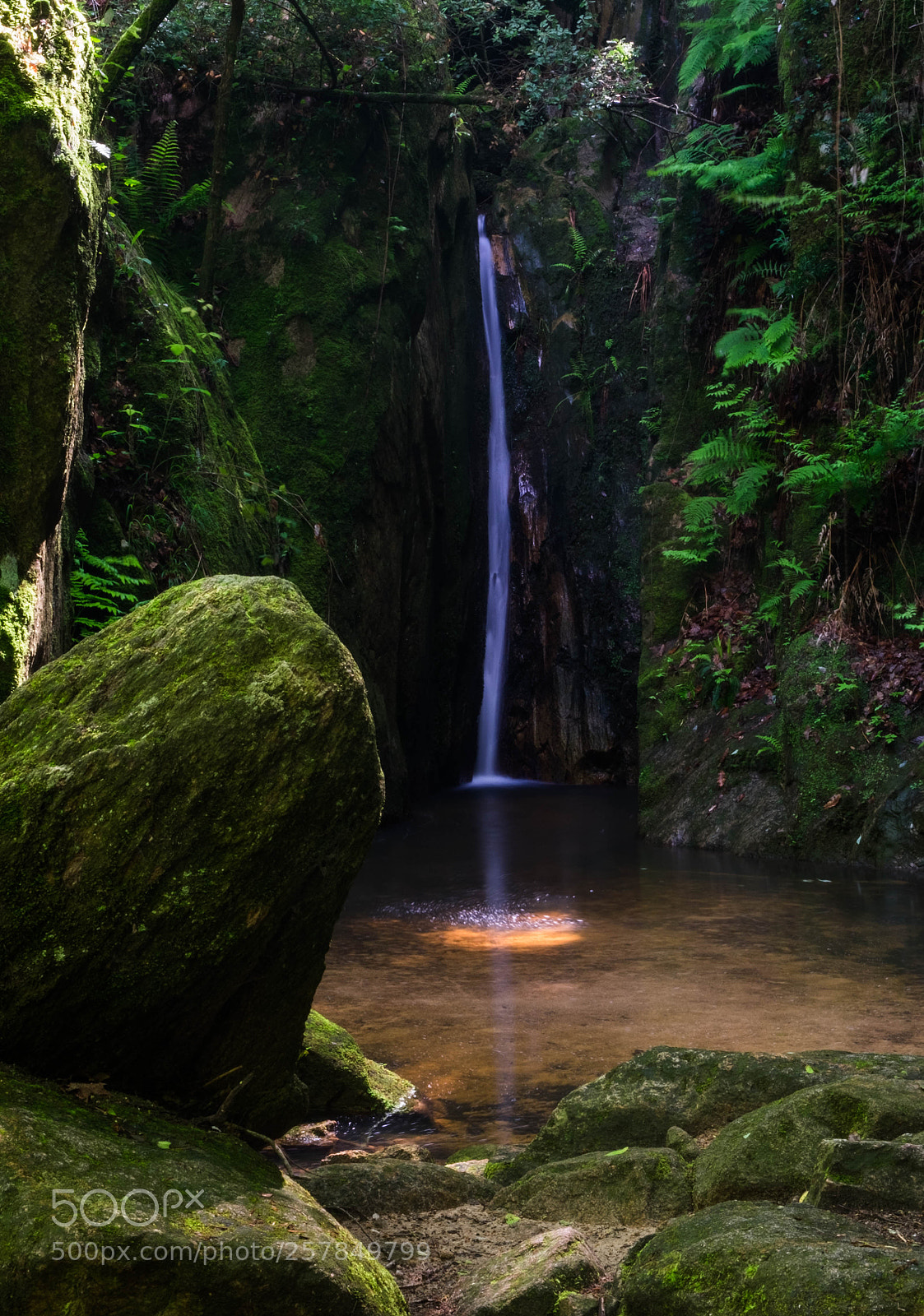 Fujifilm X-E2 sample photo. Gorg de penjacans photography