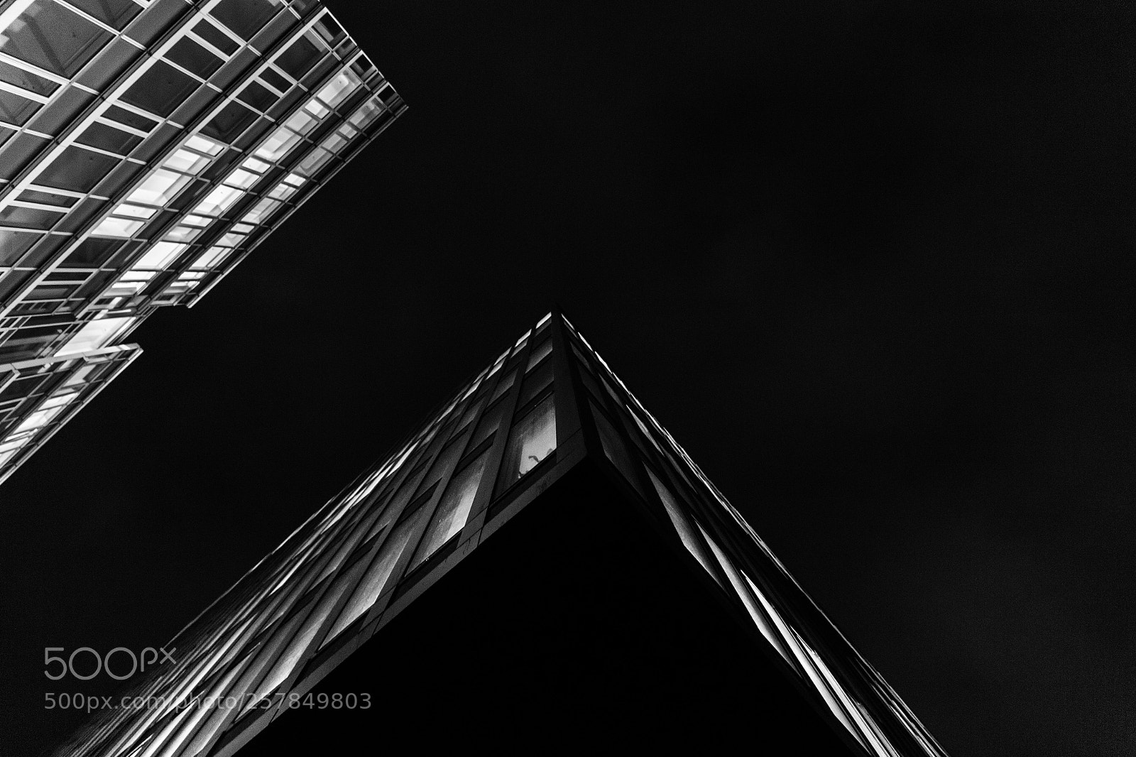 Canon EOS 6D sample photo. From below photography