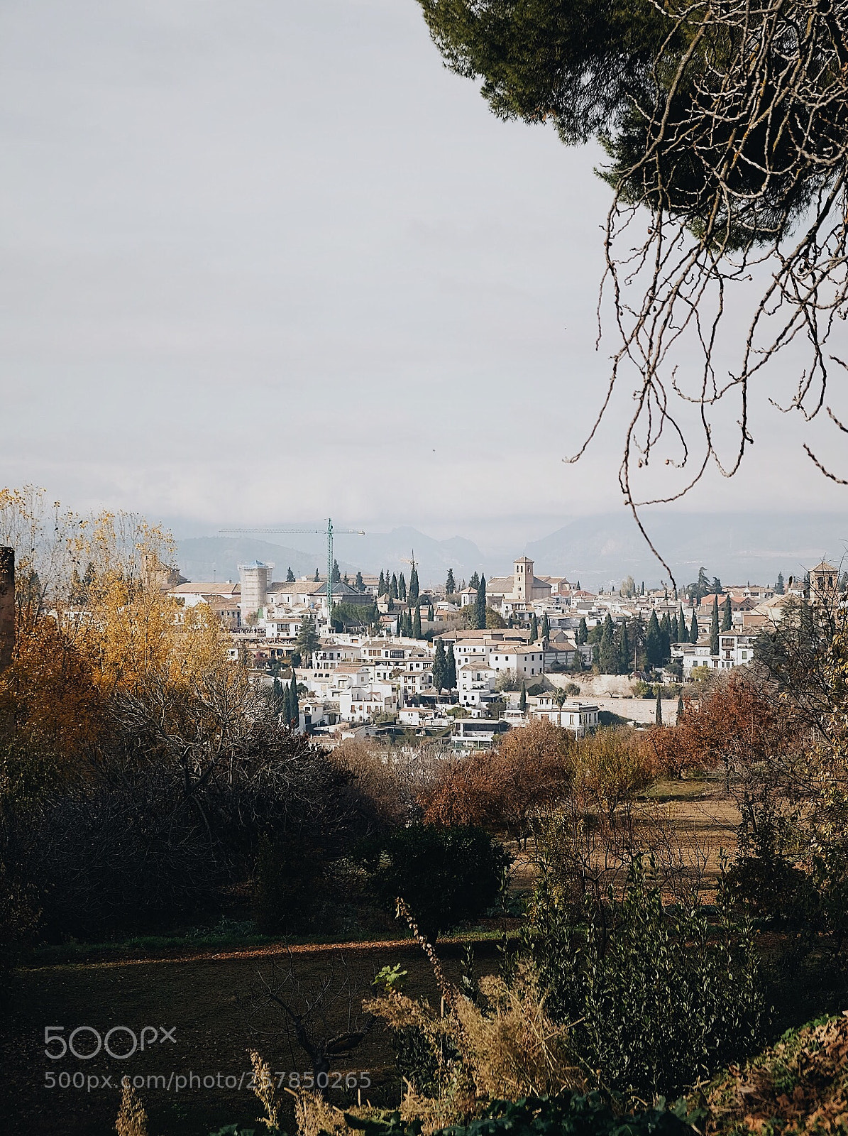Fujifilm X-T1 sample photo. Lets get lost together. photography