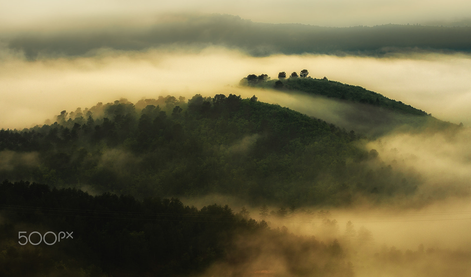 Canon EOS-1D Mark III sample photo. Foggy morning photography