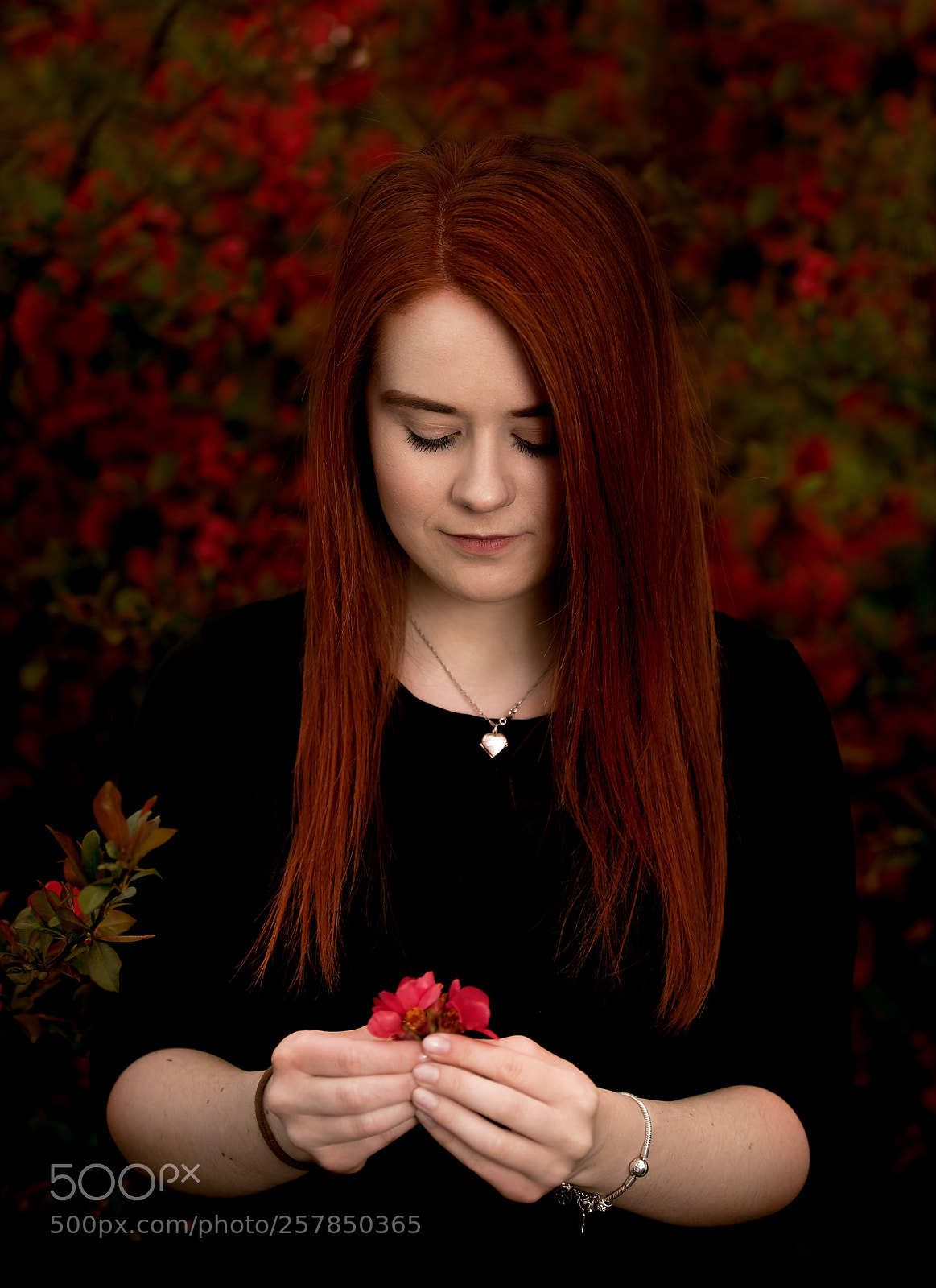 Canon EOS 5D Mark IV sample photo. Tender beauty photography