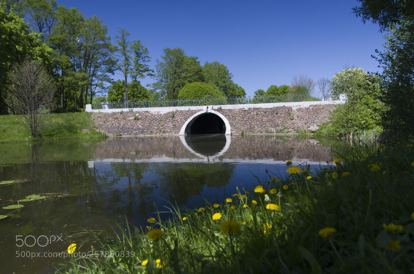 Pentax K-5 II sample photo. Untitled photography