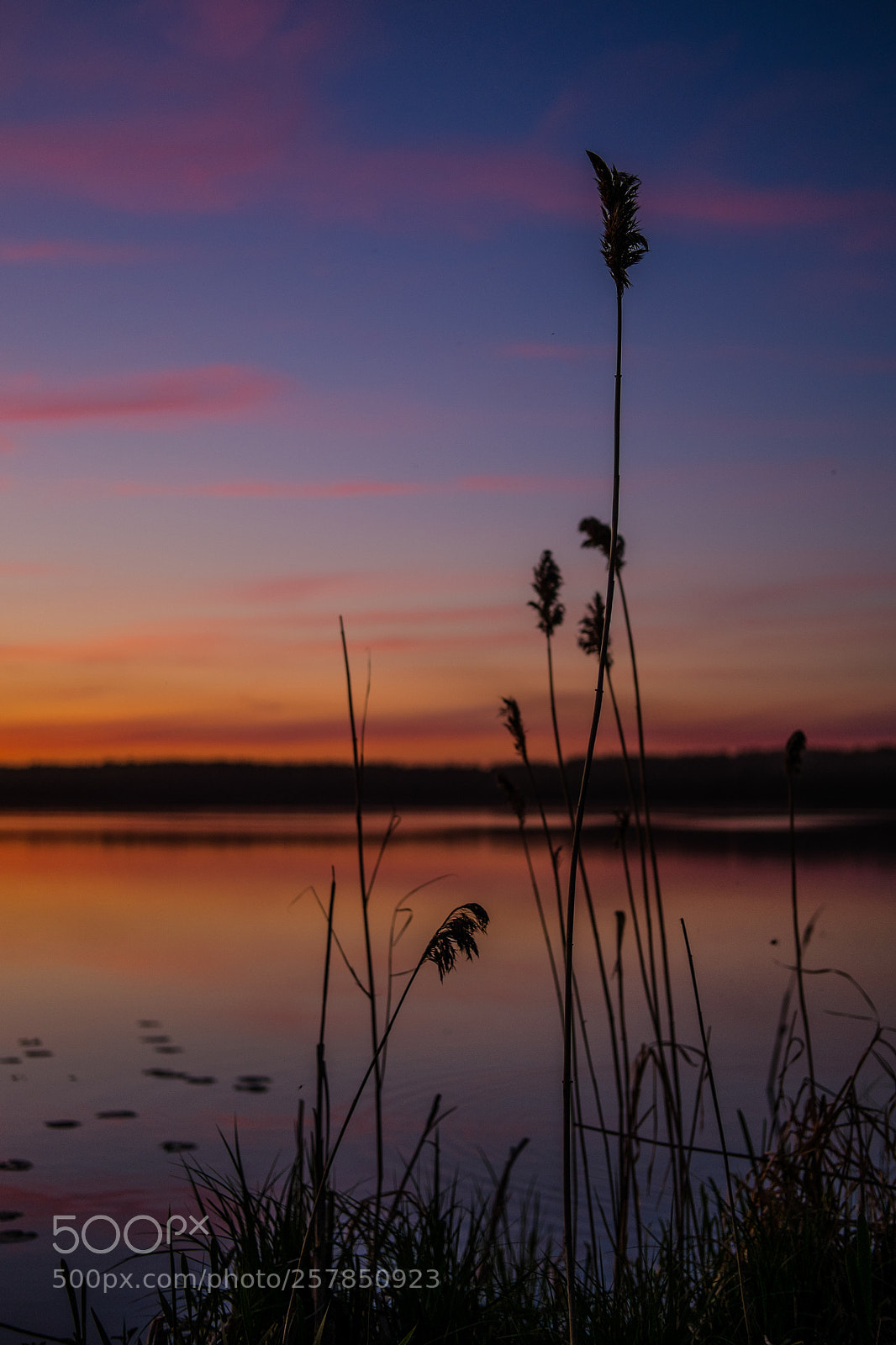 Fujifilm X-T1 sample photo. On the lake photography