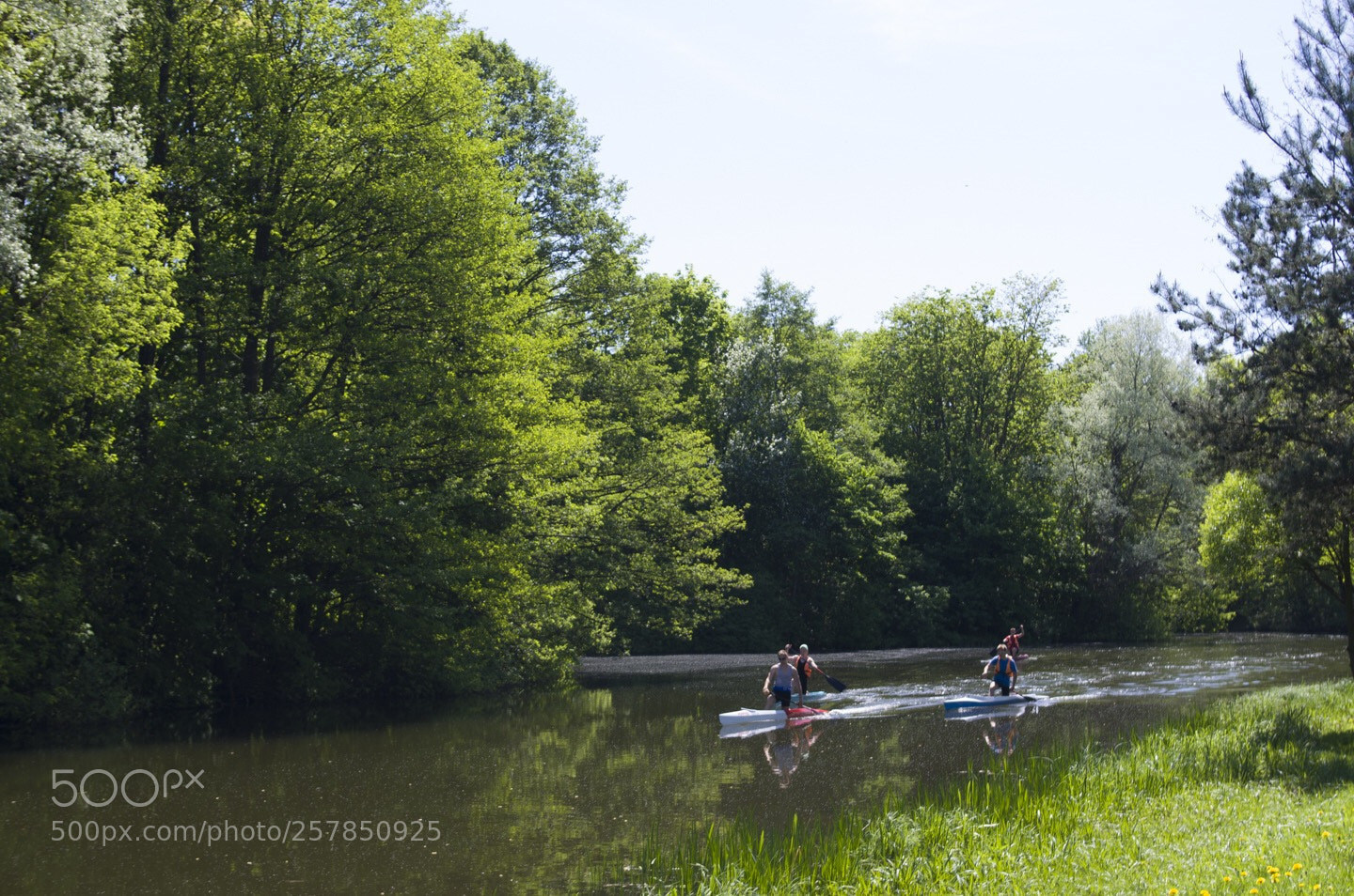 Pentax K-5 II sample photo. Untitled photography