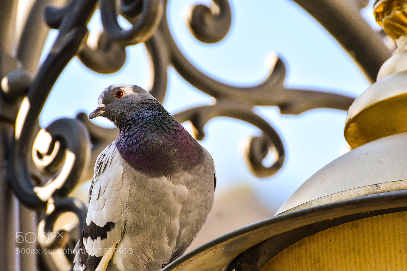 Nikon D7200 sample photo. Untitled photography