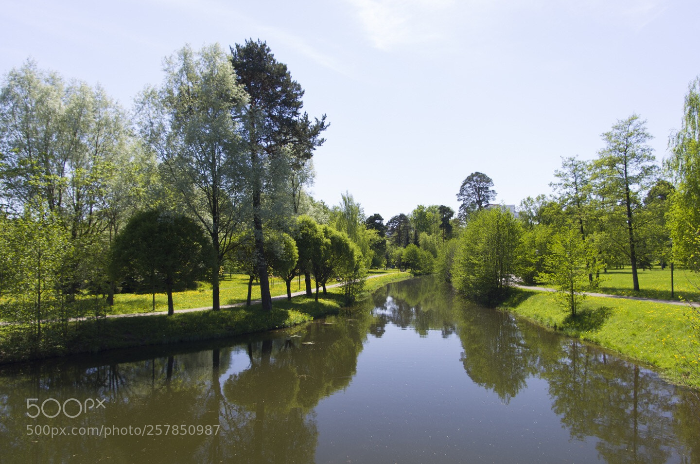Pentax K-5 II sample photo. Untitled photography