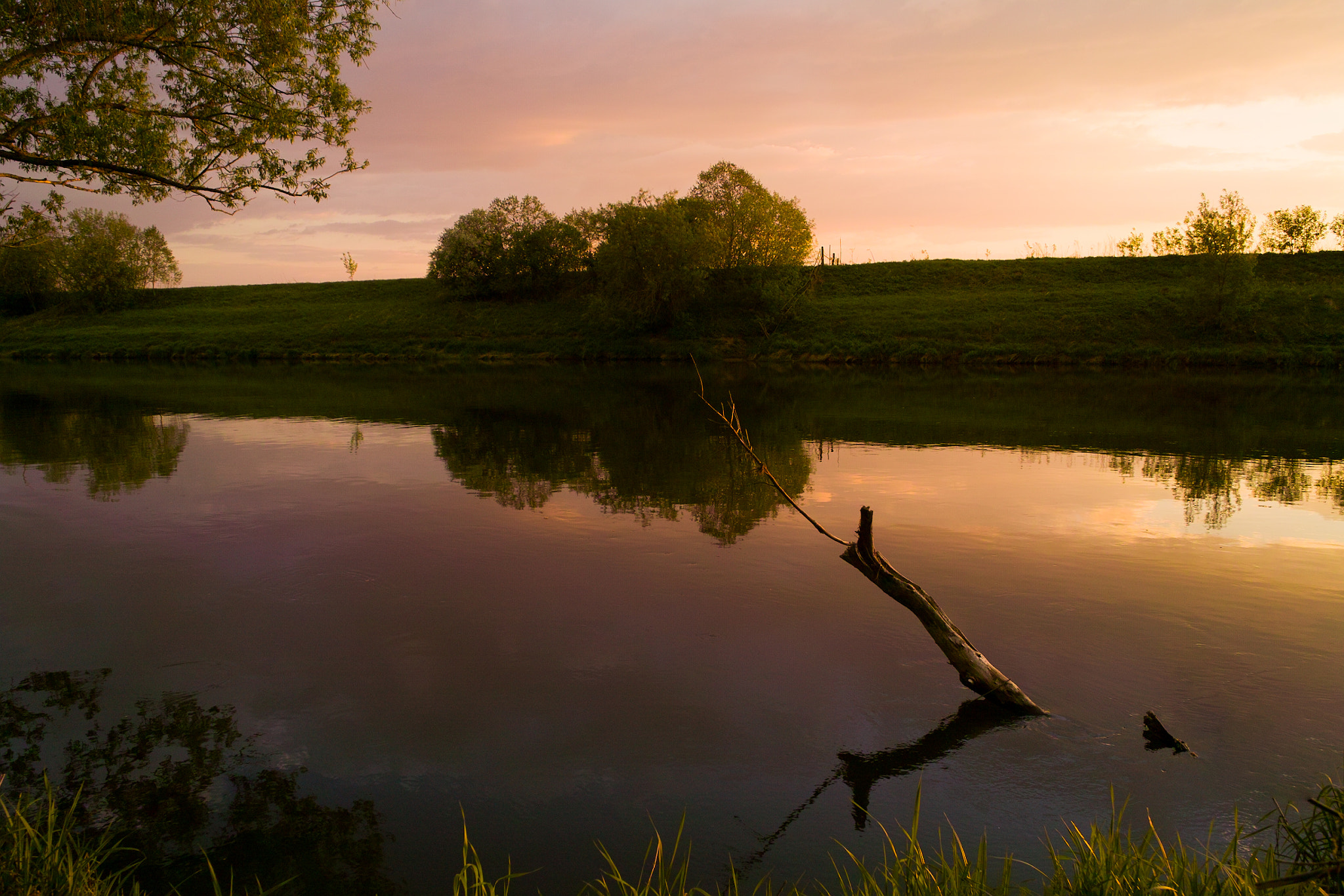 Sigma DP1 sample photo. Sunset at river photography