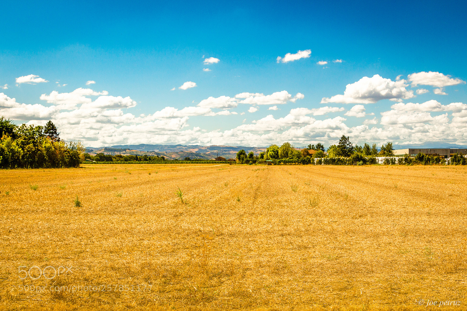 Canon EOS 650D (EOS Rebel T4i / EOS Kiss X6i) sample photo. Summer field photography
