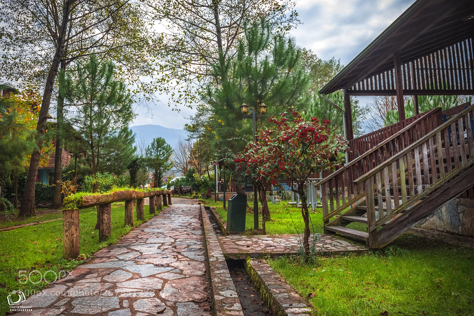 Nikon D610 sample photo. Beautiful house in the photography