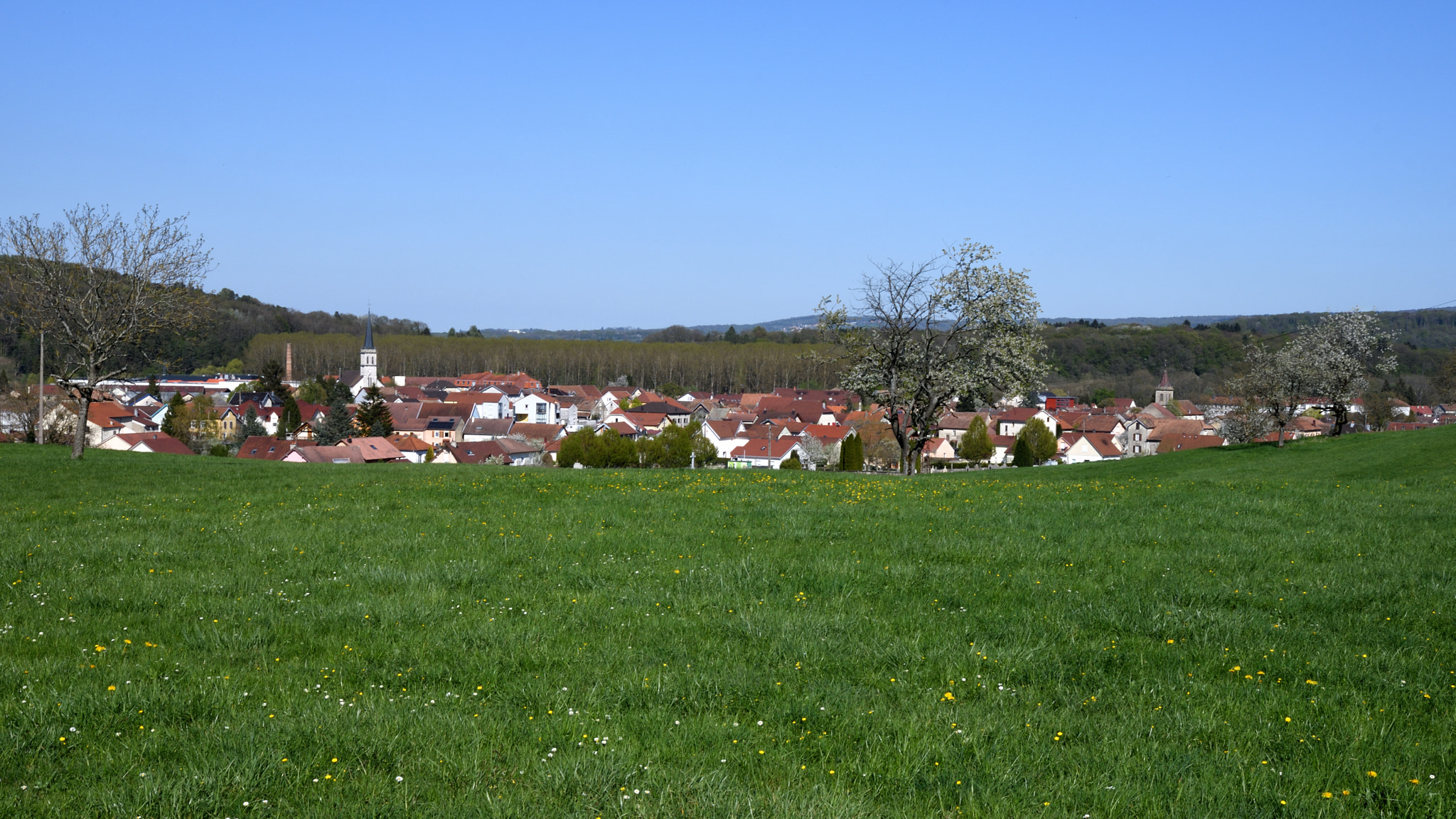 Nikon D500 sample photo. Mandeure.jpg photography