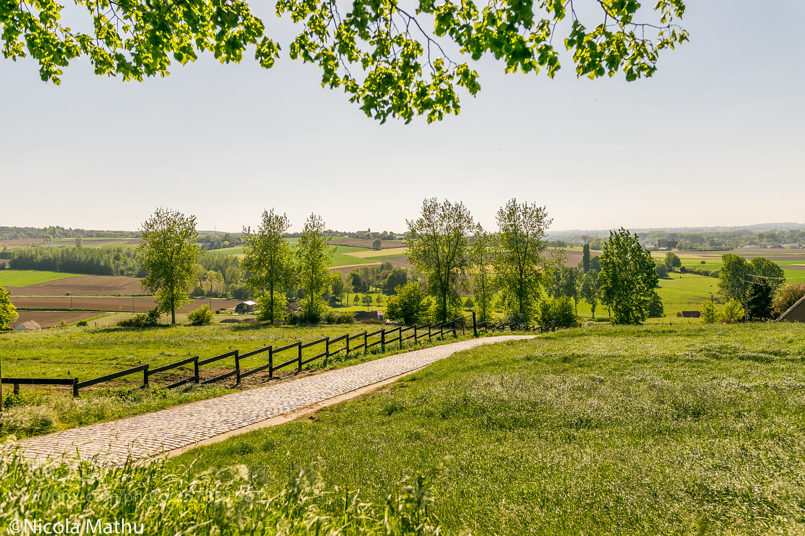 Nikon D5300 sample photo. Patersberg photography