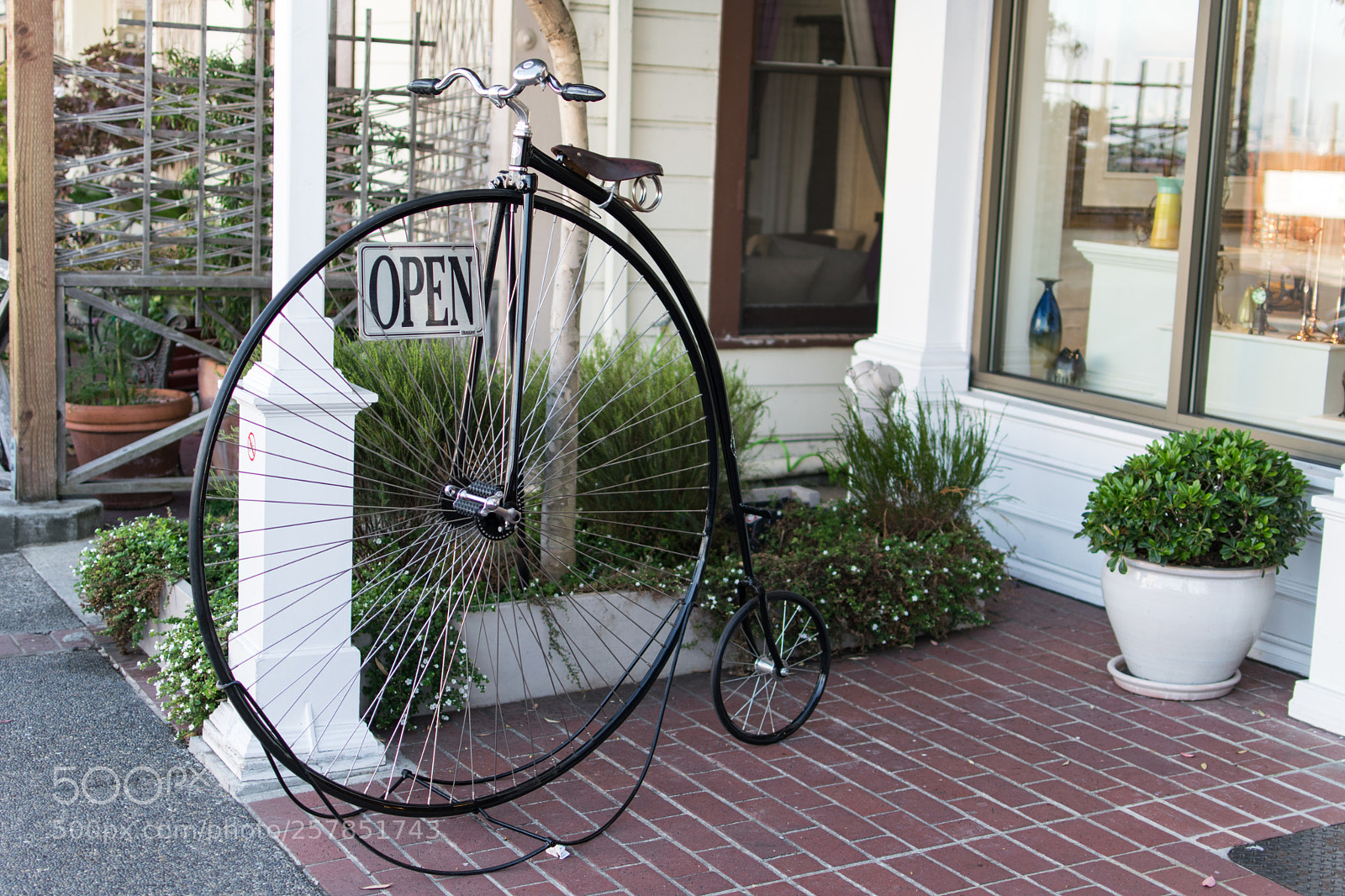 Nikon D5300 sample photo. Penny farthing bicycle photography