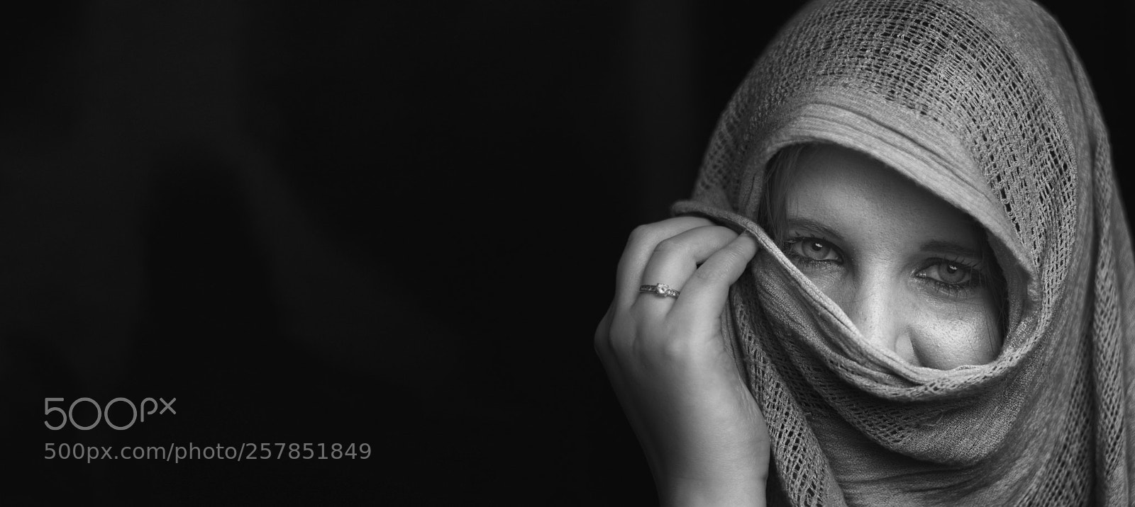Nikon D5100 sample photo. Untitled photography