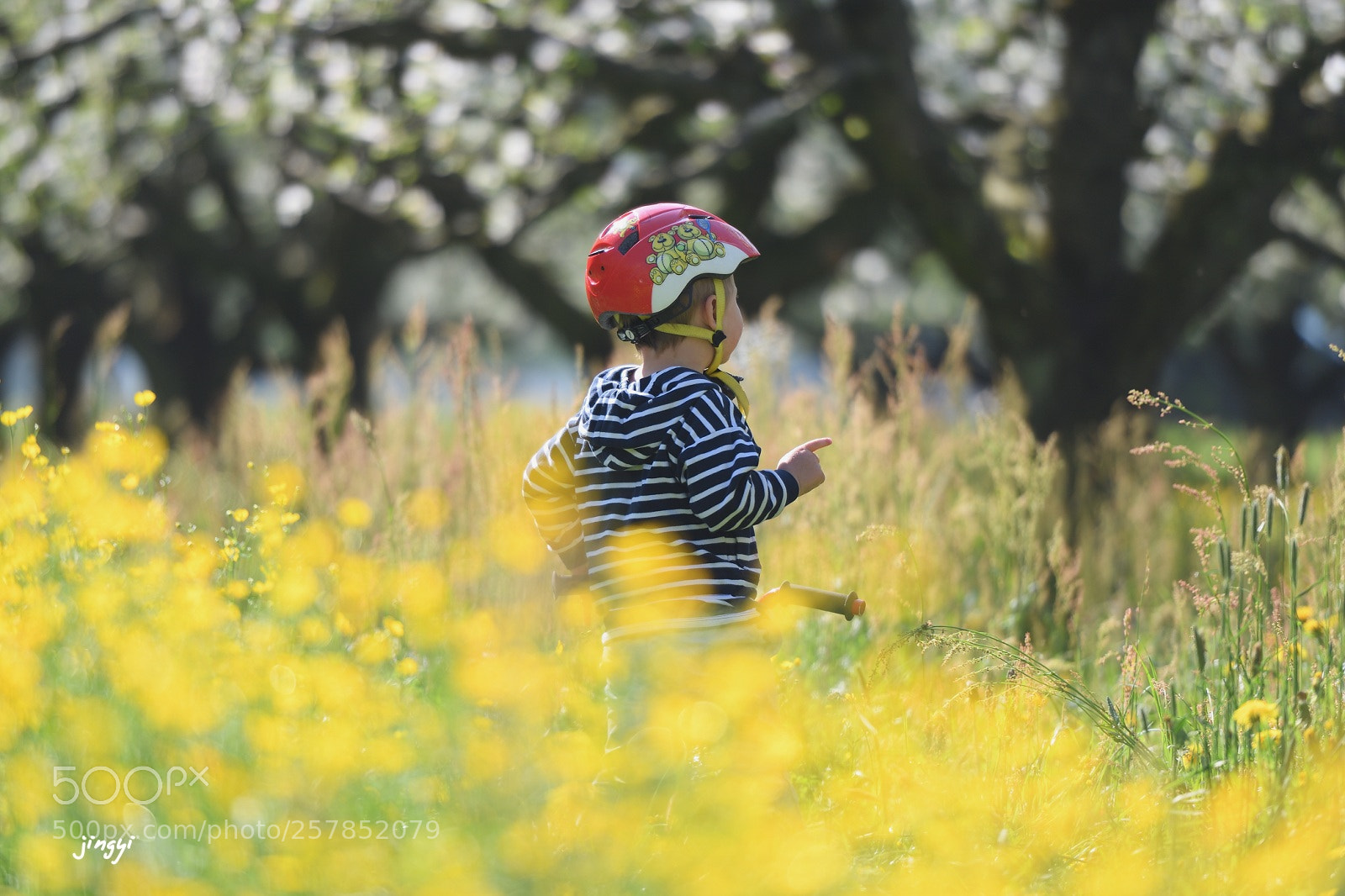 Nikon D5 sample photo. 童趣 photography