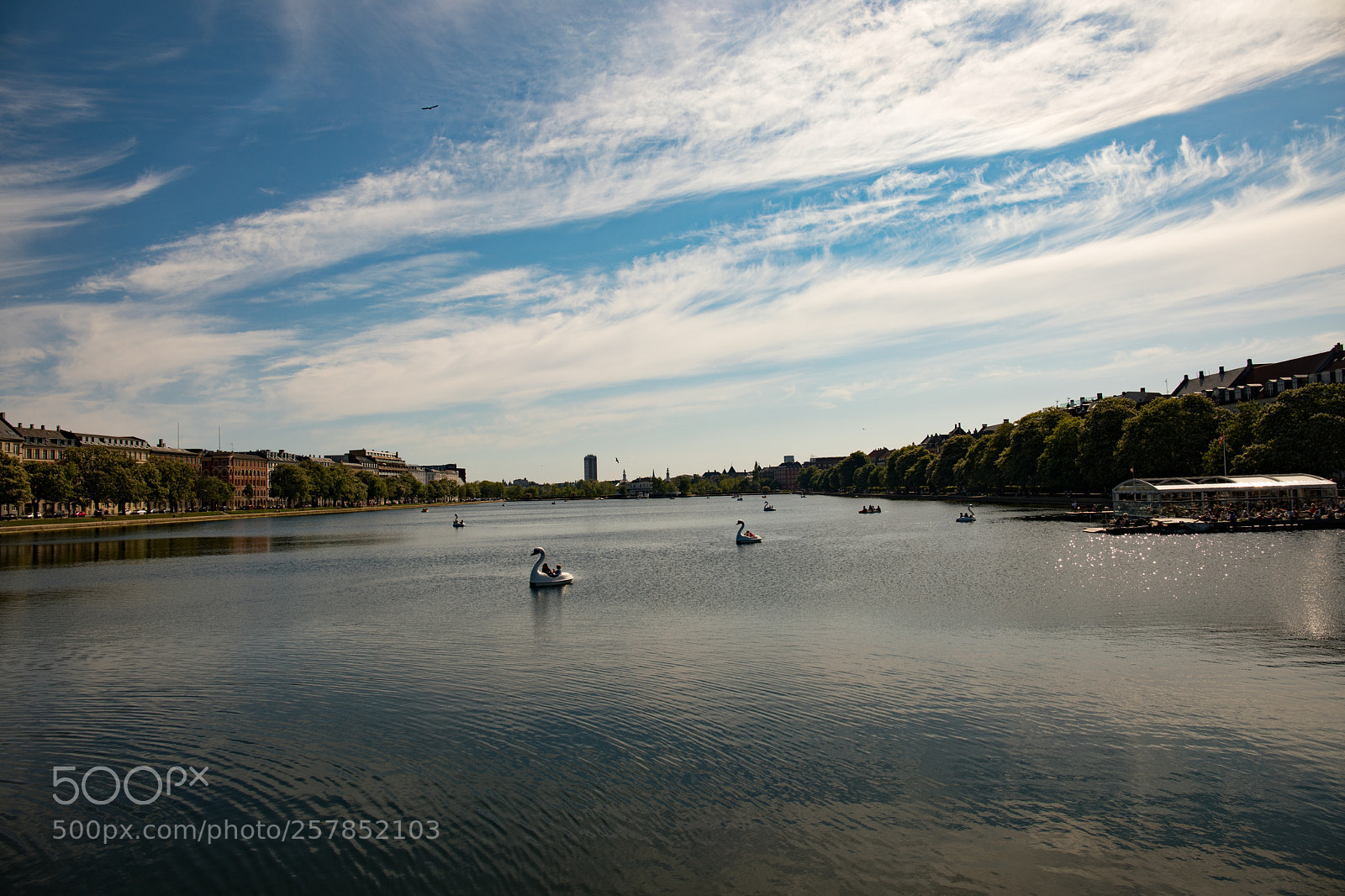 Canon EOS 5D Mark IV sample photo. Early summer peblinge s photography