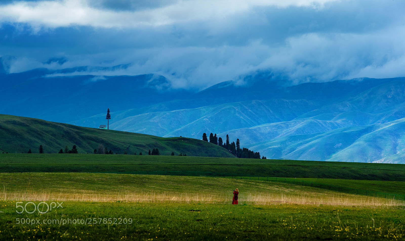 Canon EOS-1D X Mark II sample photo. Grassland scenery photography