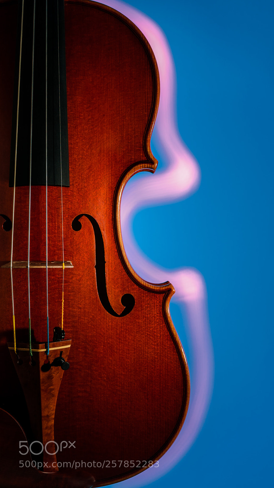 Nikon D5000 sample photo. The red violin photography