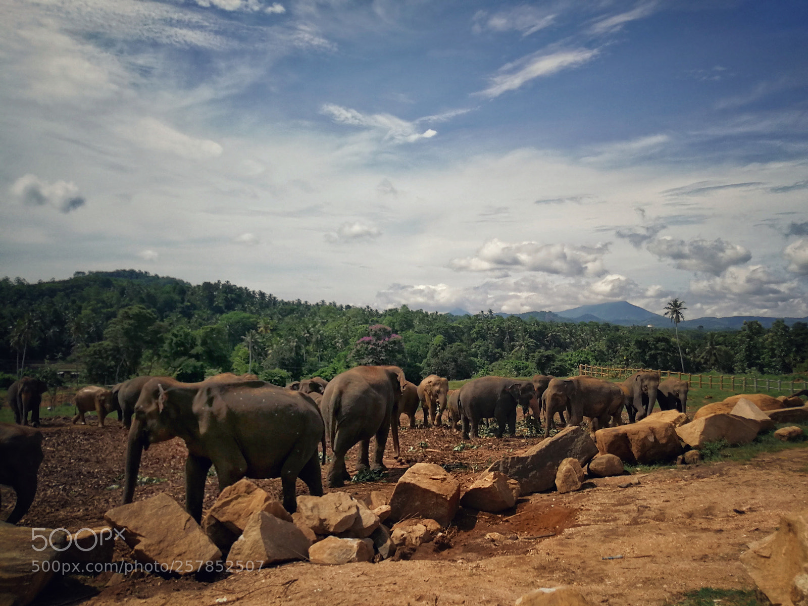 HUAWEI P10 Plus sample photo. Sri lanka - shelter photography
