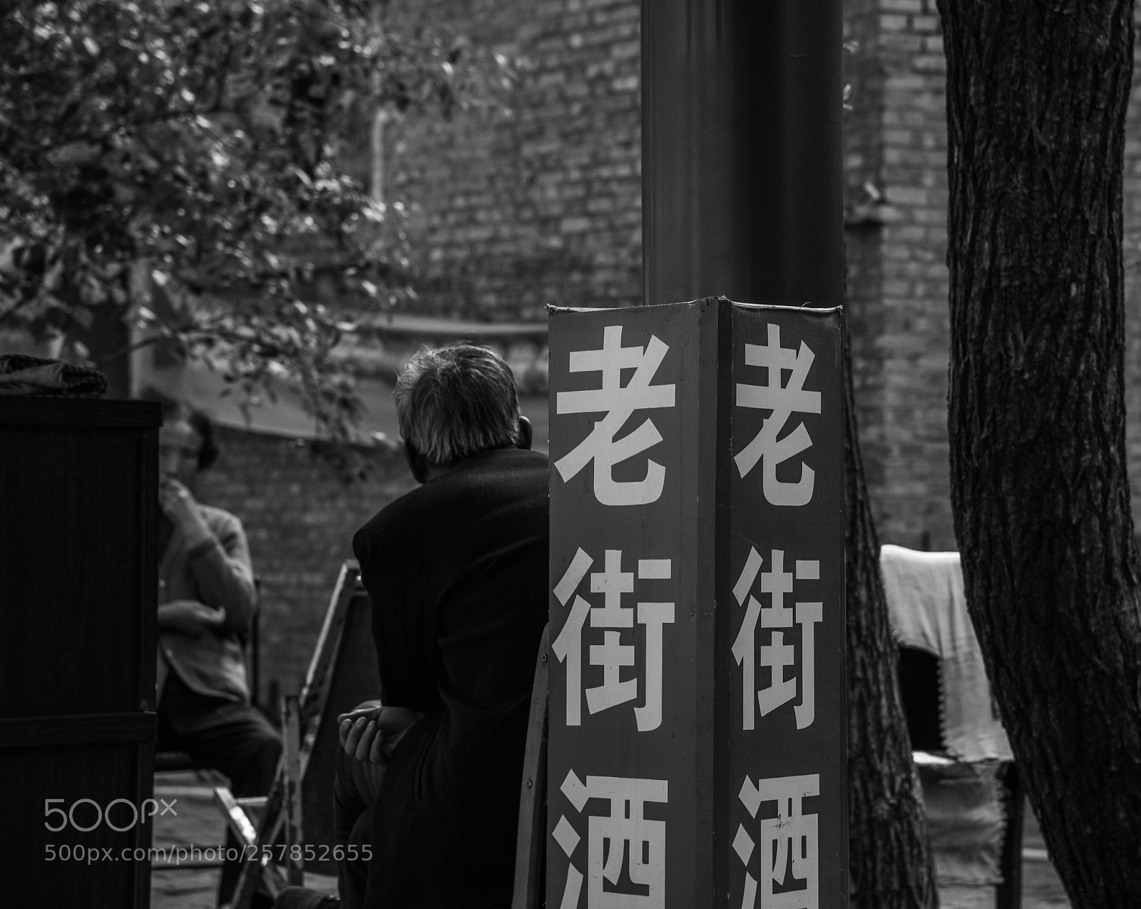 Nikon D750 sample photo. Untitled photography
