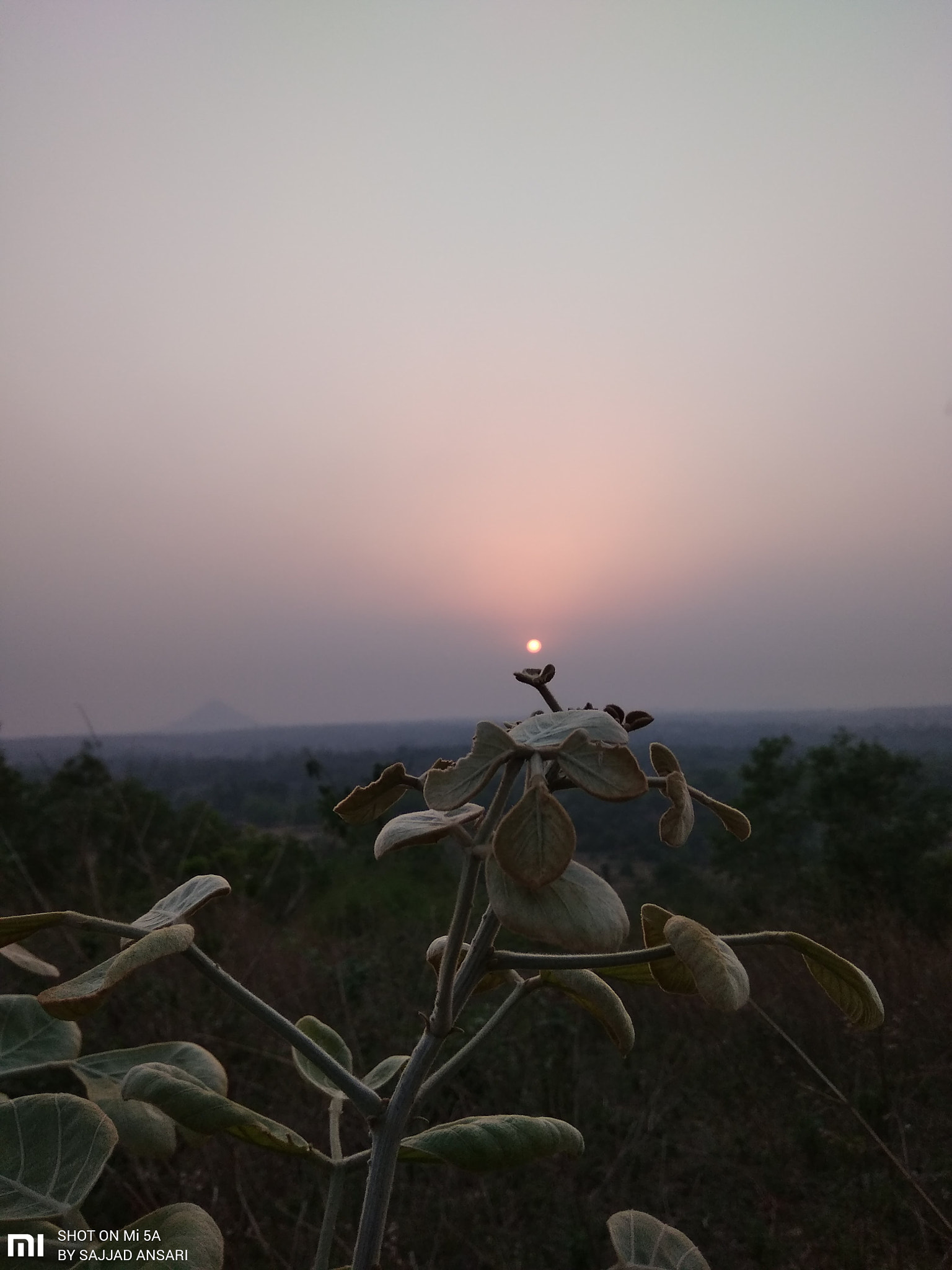 Xiaomi Redmi 5A sample photo. Nature photography