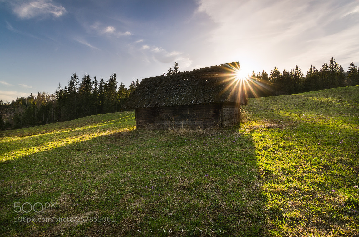 Nikon D7000 sample photo. (abandoned hut i.) photography