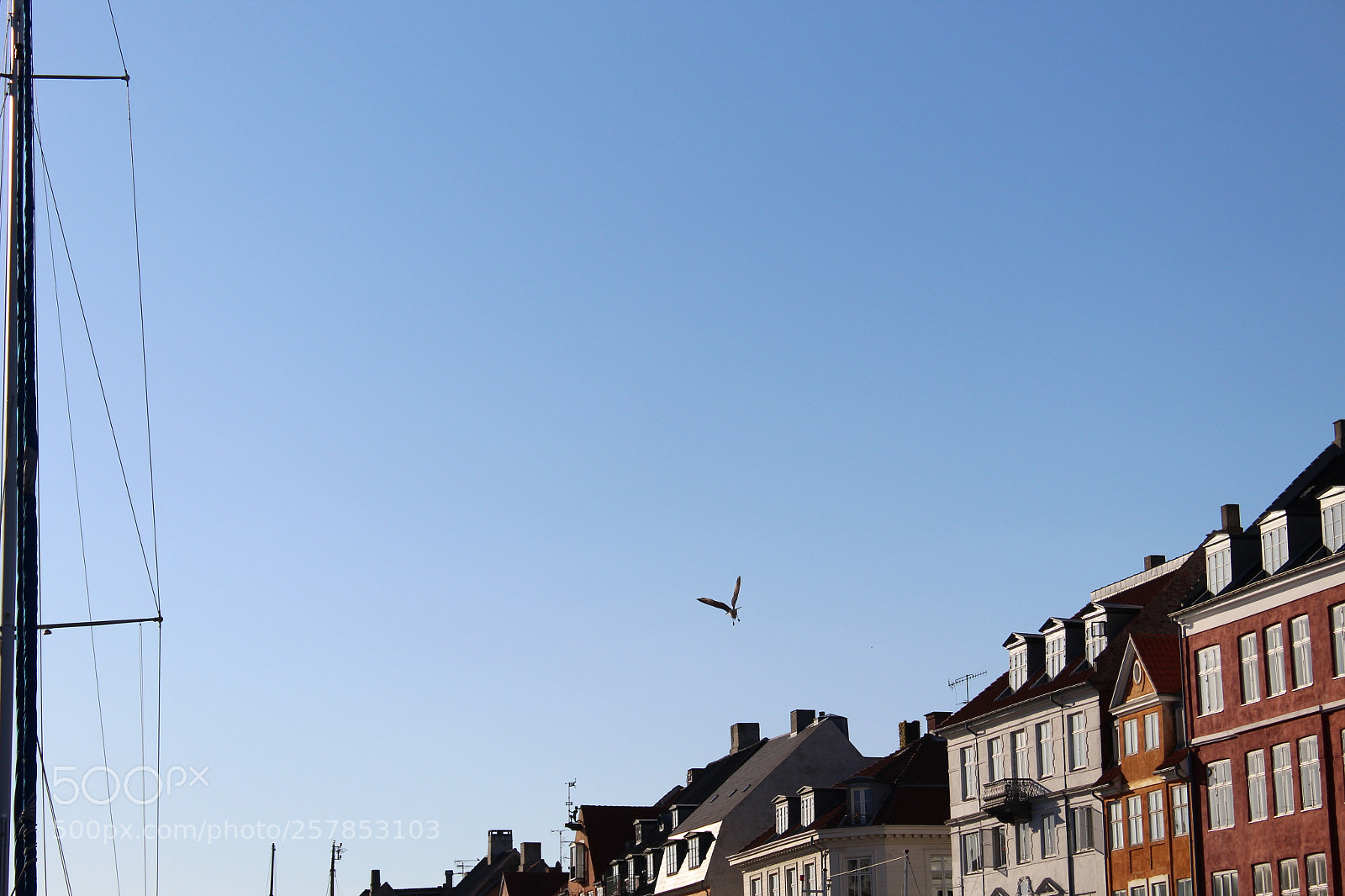 Canon EOS 1300D (EOS Rebel T6 / EOS Kiss X80) sample photo. Flying away photography