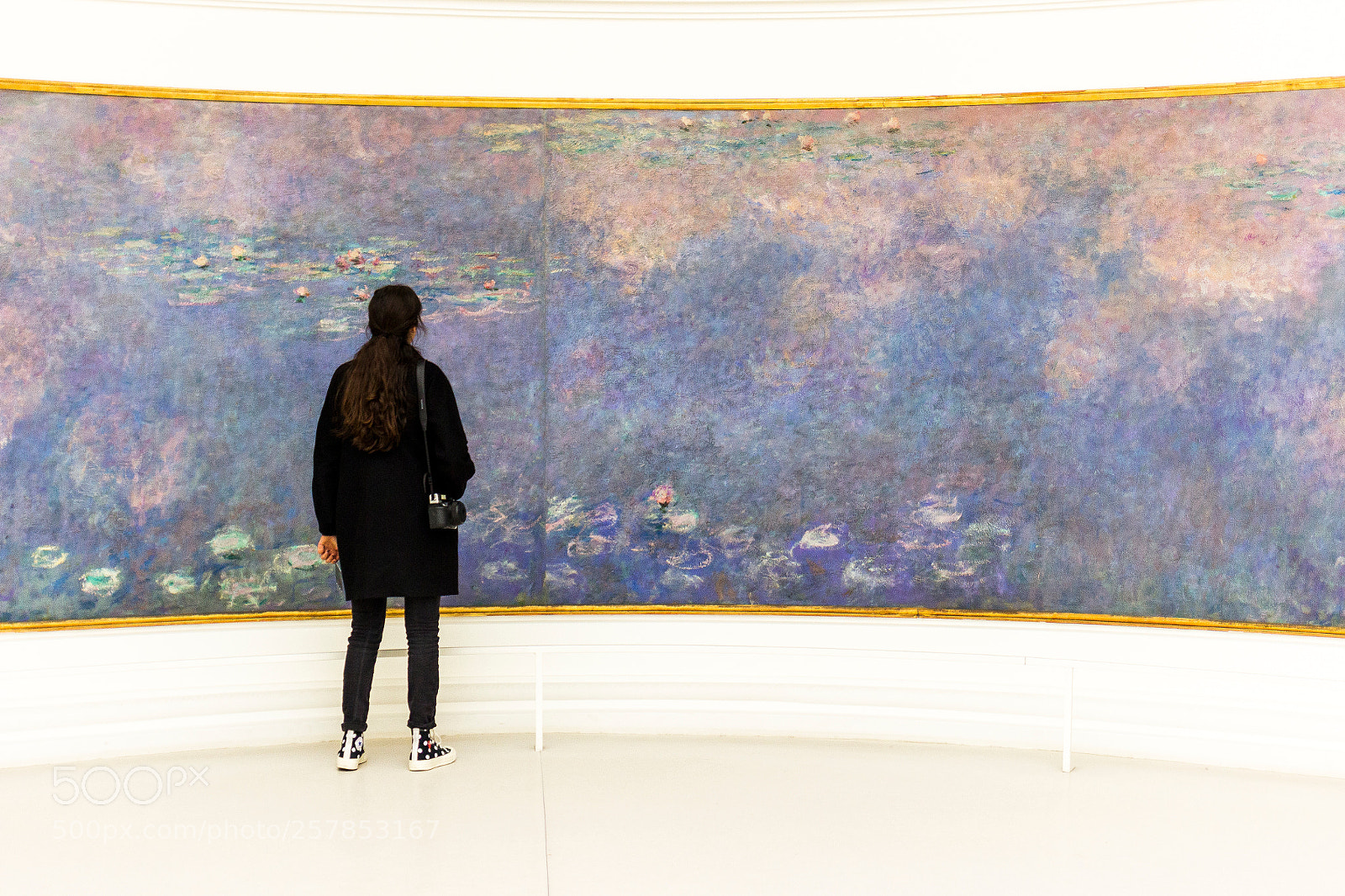 Canon EOS 600D (Rebel EOS T3i / EOS Kiss X5) sample photo. A girl admires monet photography