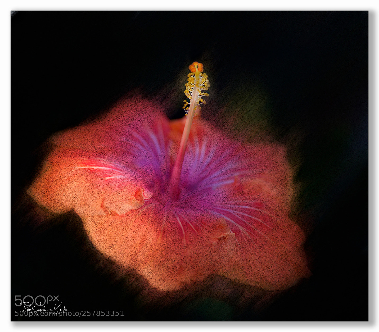 Canon EOS-1Ds Mark II sample photo. Floral satellite antenna .... photography