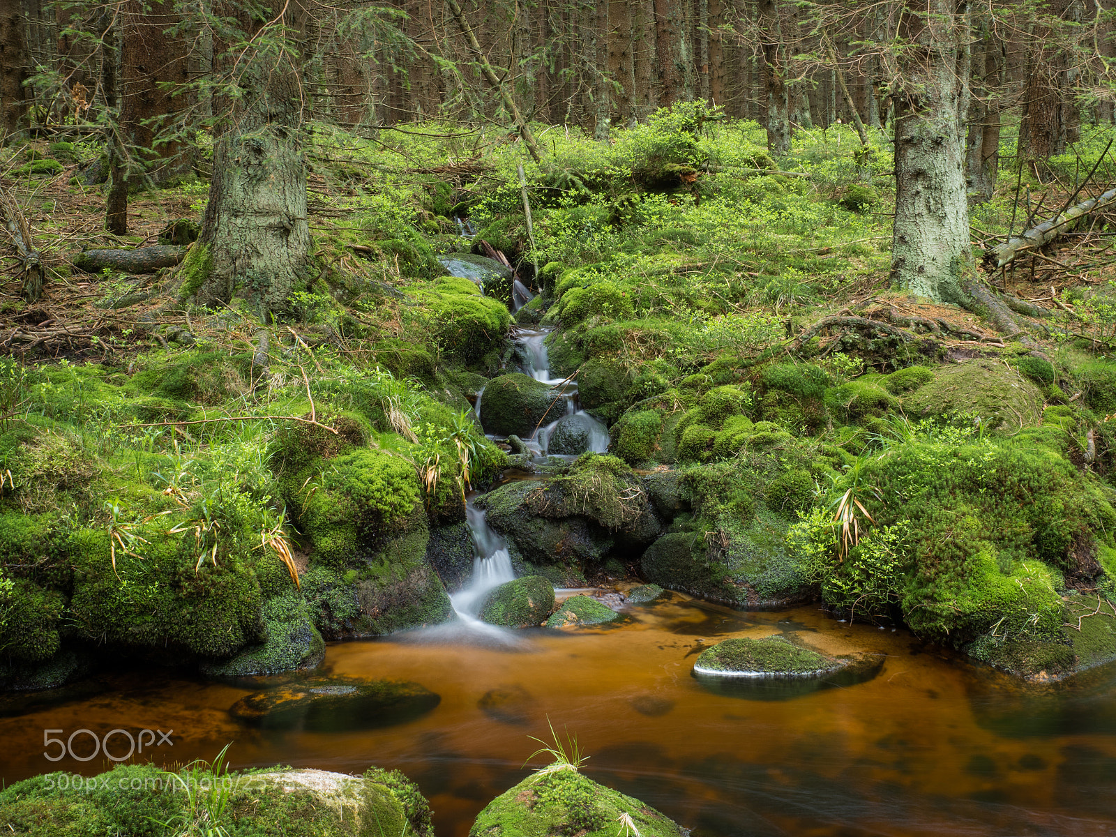 Olympus OM-D E-M5 II sample photo. Bachlauf. photography
